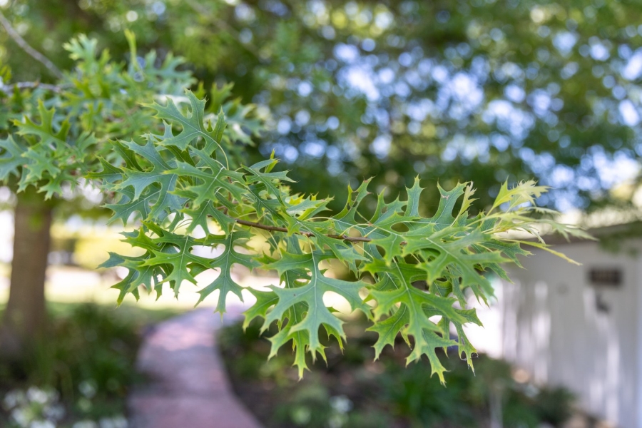 Commercial Property for Sale in Wittedrift Western Cape